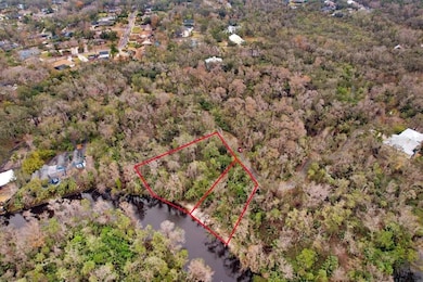 4868 Rambling River Rd, Brandon, FL 33511 - photo 3