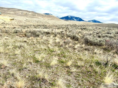 TBD Sagebrush Ave, Salmon, ID 83467 - photo 4