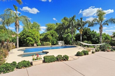 Lush Backyard