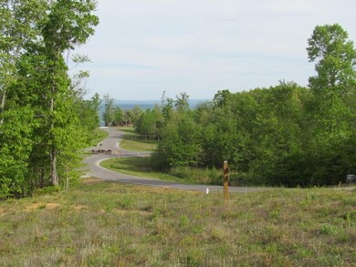 165 Lookout View Dr, Jasper, TN 37347 - photo 7