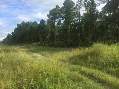Harlingen Vacant Lot3