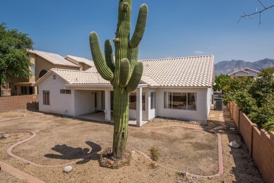 back of the house