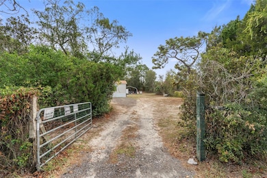 17736 Medley Ave, Spring Hill, FL 34610 - photo 4