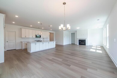 159 Twisted Oak Trail Kitchen Dining Liv