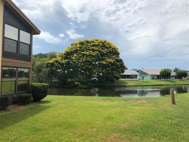 Beautiful tree in bloom across the pond.