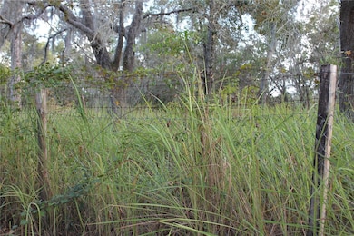 10132 New York Ave, Hudson, FL 34667 - photo 5