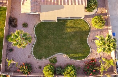Backyard Drone