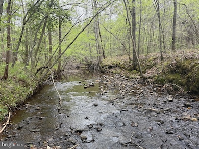 TBD 1 Covered Bridge Rd, Kents Store, VA 23084 - photo 2