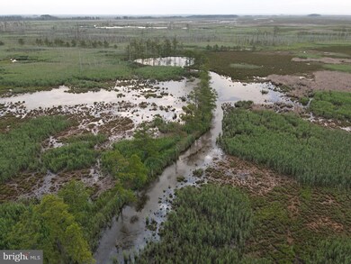 2673 Wesley Church Rd, Crapo, MD 21626 - photo 6