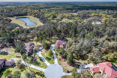 13503_Gopher_Pond_Ct_Aerial-4 - Copy