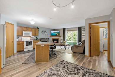 20048 Cabrilla Way Farmington MN_0021.jpg