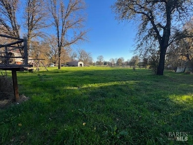 10680 Swede Creek Rd, Palo Cedro, CA 96073 - photo 6