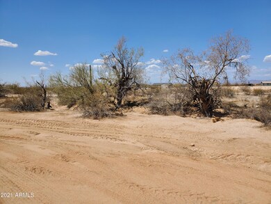 S 11 Pictures (1) (3)