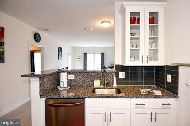 22655 Blue Elder Terrace unit 302, Ashburn, VA 20148 - photo 4