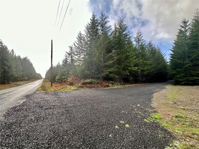 15 W Ford Rd unit Lot 3, Matlock, WA 98560 - photo 2