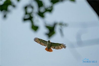 12078 Eagleville Rd, North Baltimore, OH 45872 - photo 7