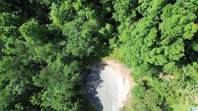 5601 Barclay Cir, Trussville, AL 35173 - photo 4