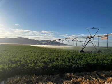 595 Innean Rd, Winnemucca, NV 89445 - photo 4