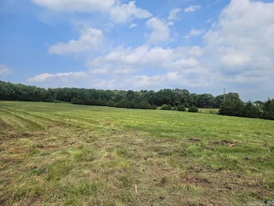 TBD Johnny Tate Rd, Waldron, AR 72958 - photo 4