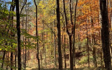 00 Ravencliff Rd, Talking Rock, GA 30175 - photo 3