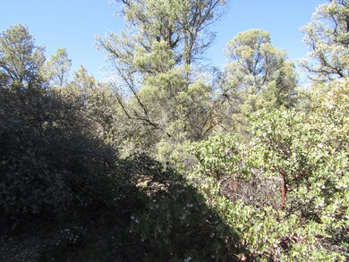 1112 N Yodel Cir, Payson, AZ 85541 - photo 6