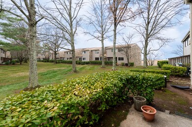 View of Backyard