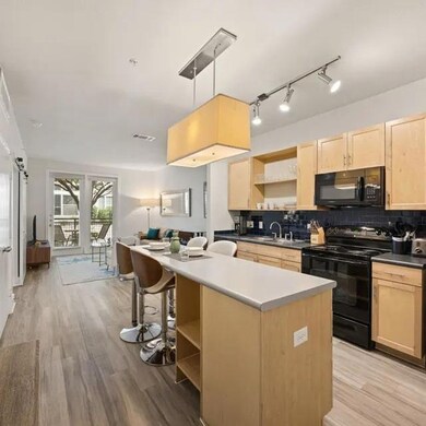 810 W St Johns Ave unit 3030, Austin, TX 78752 - photo 6