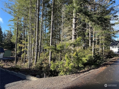 0 E Blackberry Ln, Union, WA 98592 - photo 2