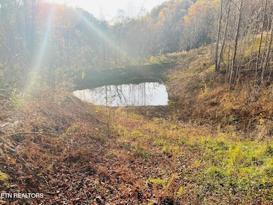 Nice deep pond at the end of the pasture
