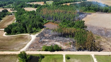 0 Gunn Rd, Sumner, GA 31789 - photo 2