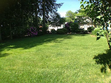 Yard/Garden.
