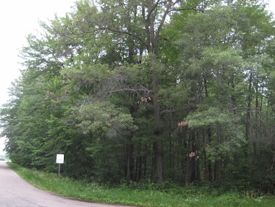 Lot 4 Algoma St unit Badger Avenue, Stevens Point, WI 54482 - photo 3