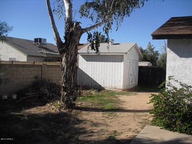 back yard