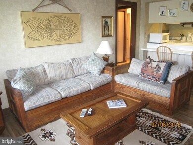 1836 Fairway Dr unit 202, Basye, VA 22810 - photo 7