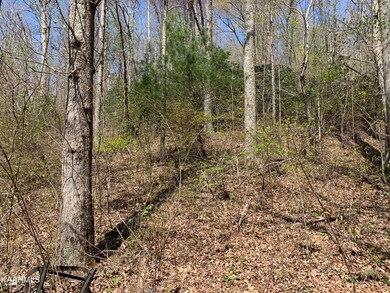 00 Claysville Rd, Crossville, TN 38571 - photo 7