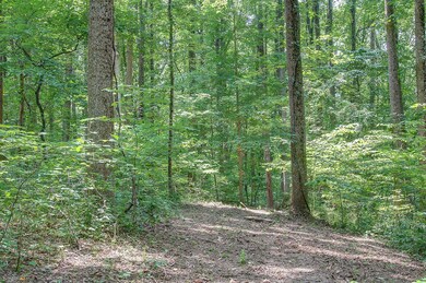 Beautiful Tennessee hardwoods everywhere.