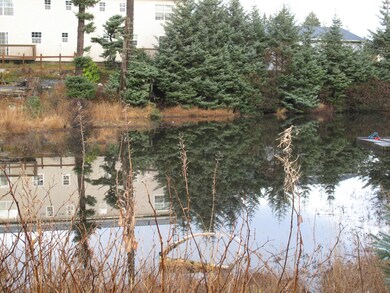 POND
