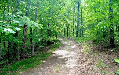 Additional View