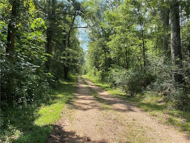 2791 Highway 10 Other, Greensburg, LA 70441 - photo 3