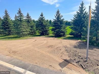 15XX3 60th St SW, Cokato, MN 55321 - photo 6