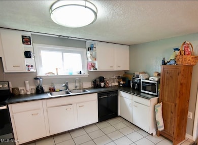 2024 S Newton Falls Rd, Diamond, OH 44412 - photo 4