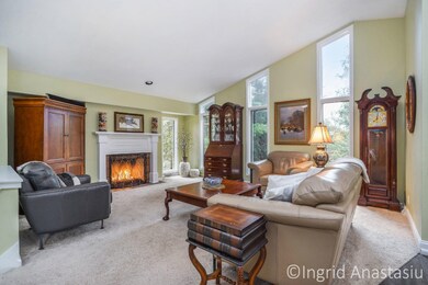 Open Floor Plan Living