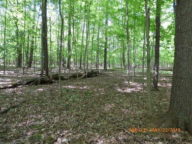 2022 Berme Rd, Kerhonkson, NY 12446 - photo 6