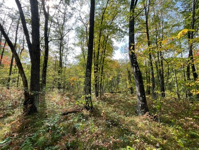 V/L 20A N Woodbridge Dr, Bitely, MI 49309 - photo 6