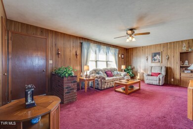 288 Butchertown Rd, Fall Branch, TN 37656 - photo 6