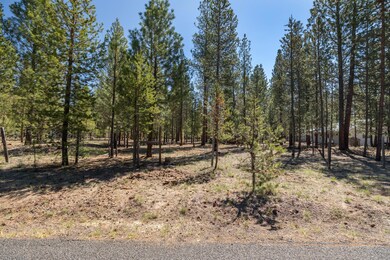 3900 Lot Wagon Trail_ (2)