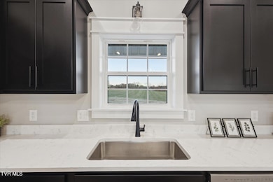 5930 Snapps Ferry Rd unit Lot 3, Afton, TN 37616 - photo 7