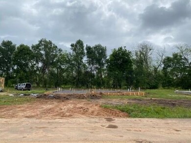 2565 County Road 769c, Brazoria, TX 77422 - photo 7