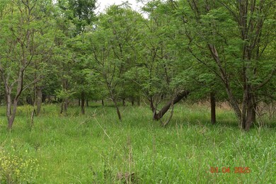 View of wooded area
