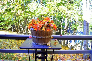 From deck looking to common back...